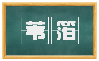苇箔