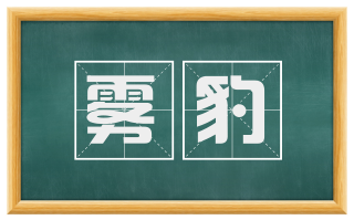 雾豹