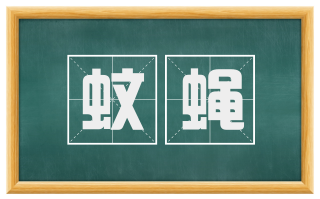 蚊蝇