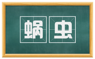 蜗虫