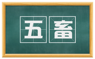 五畜