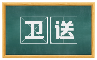 卫送