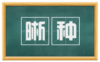 晰种