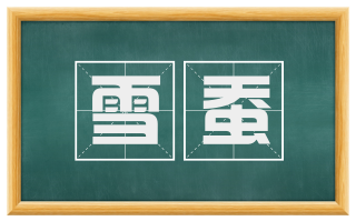 雪蚕