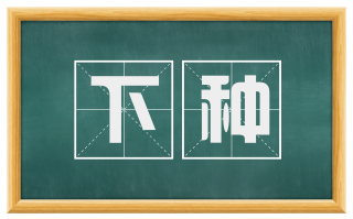 下种