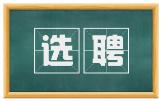 选聘