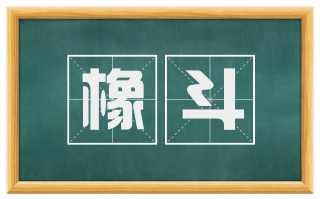 橡斗