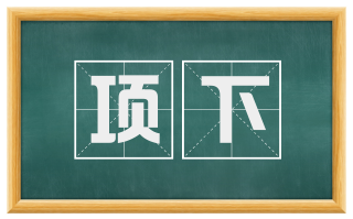项下