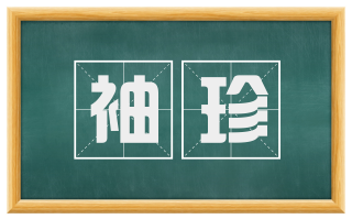 袖珍