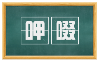 呷啜