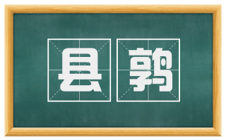 县鹑