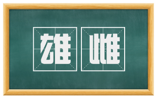 雄雌
