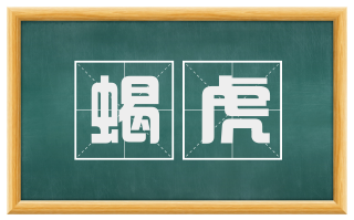 蝎虎