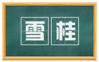 雪桂