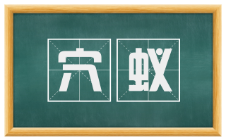 穴蚁