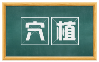穴植