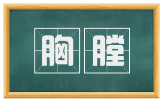 胸膛
