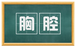 胸腔