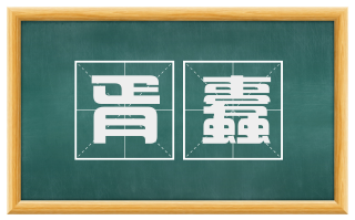 胥蠹