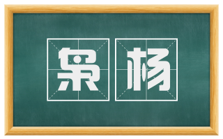 枭杨