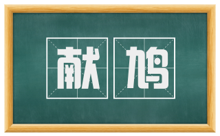 献鸠