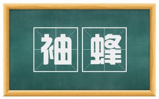 袖蜂
