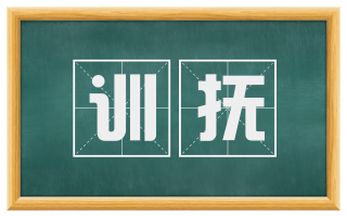 训抚