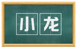 小龙