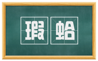 瑕蛤