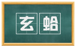 玄蛤