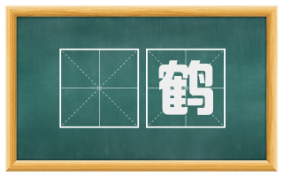 鮝鹤