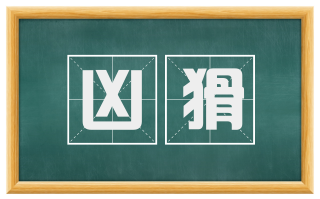 凶猾