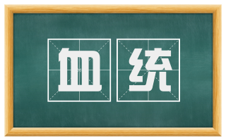 血统