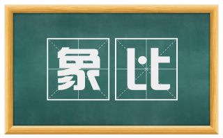 象比