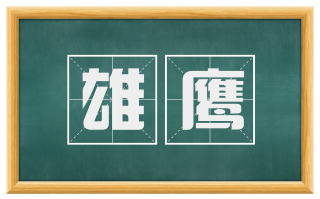 雄鹰
