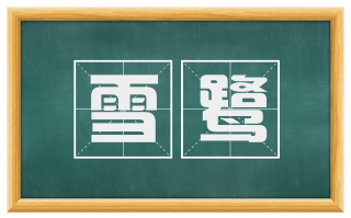 雪鹭