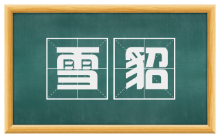 雪貂