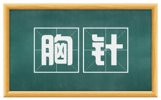 胸针