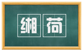 缃荷