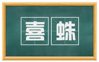 喜蛛