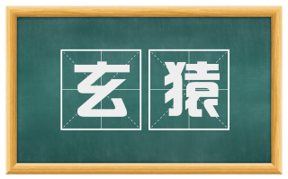 玄猿