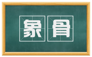 象骨