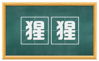猩猩