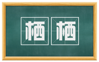 栖栖