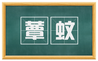 蕈蚊