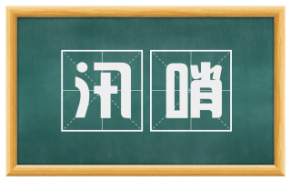 汛哨