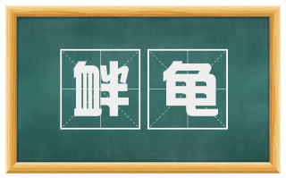 衅龟