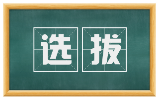 选拔
