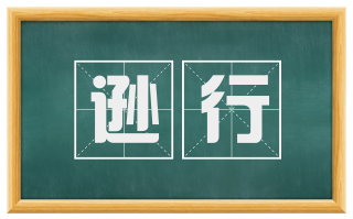 逊行