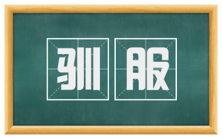 驯服